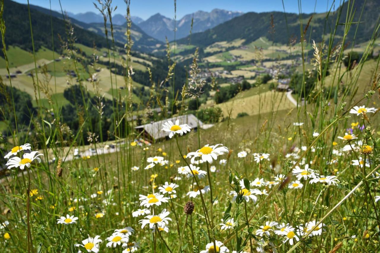 Haus Dorferstuck Apartamento Alpbach Exterior foto